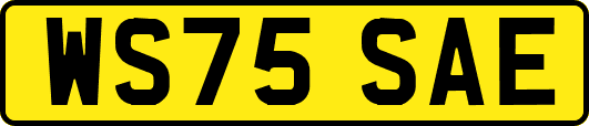 WS75SAE