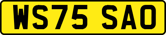 WS75SAO