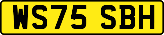 WS75SBH