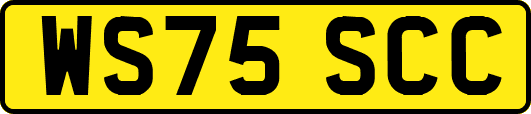 WS75SCC