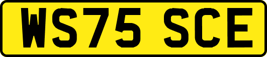 WS75SCE