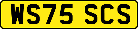 WS75SCS