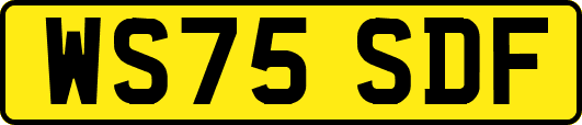 WS75SDF
