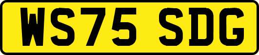 WS75SDG