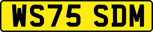 WS75SDM