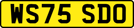 WS75SDO