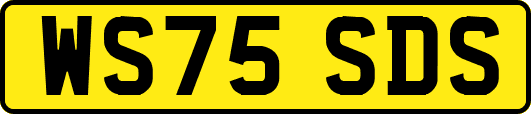 WS75SDS