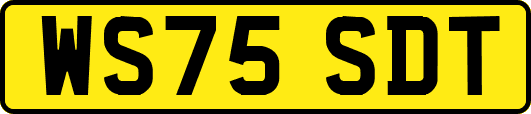 WS75SDT