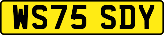 WS75SDY