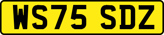 WS75SDZ