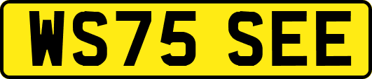 WS75SEE