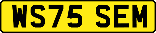 WS75SEM