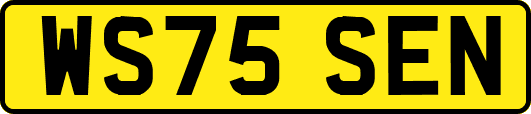WS75SEN