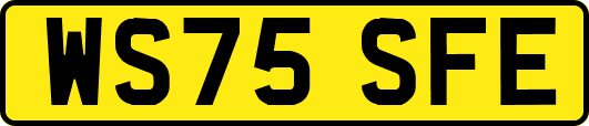 WS75SFE