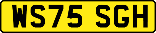 WS75SGH