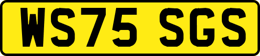 WS75SGS