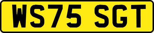 WS75SGT