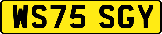 WS75SGY