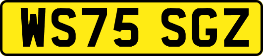 WS75SGZ