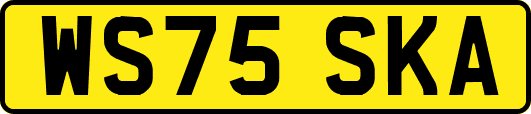 WS75SKA