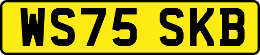 WS75SKB