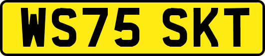WS75SKT