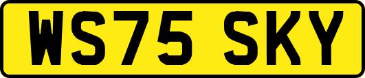 WS75SKY