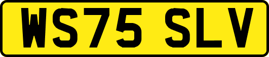 WS75SLV