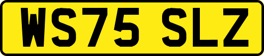 WS75SLZ