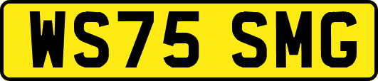 WS75SMG