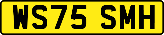 WS75SMH