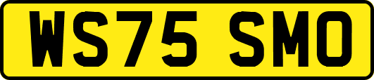 WS75SMO