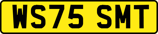 WS75SMT