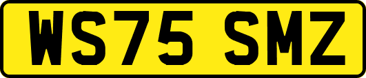 WS75SMZ
