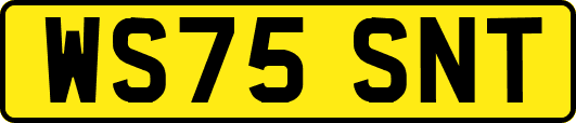 WS75SNT