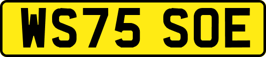 WS75SOE