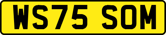 WS75SOM