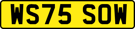 WS75SOW
