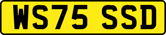WS75SSD