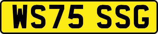 WS75SSG