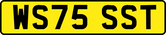 WS75SST