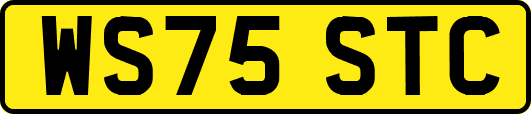 WS75STC