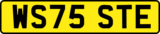WS75STE