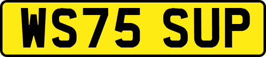 WS75SUP