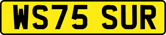 WS75SUR