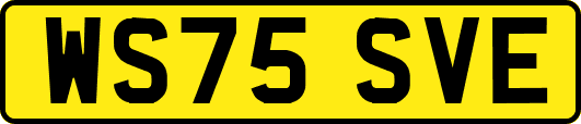 WS75SVE