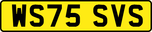 WS75SVS