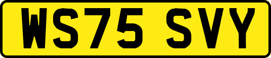WS75SVY