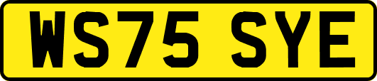 WS75SYE