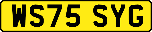 WS75SYG